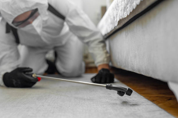Professional Pest Control technician working in Brooks County County, GA